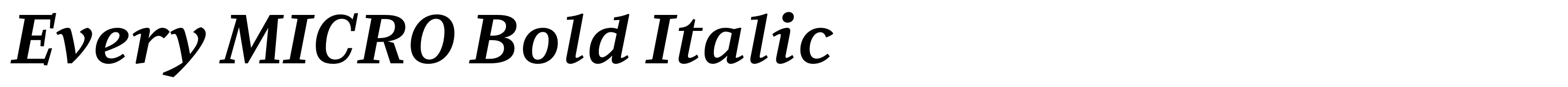 Every MICRO Bold Italic